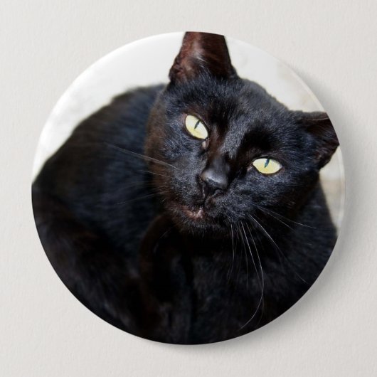 Badge Rond 10 Cm Portrait de chat noir (Devant)