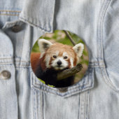 Badge Rond 10 Cm red-panda-004 (En situation)