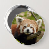 Badge Rond 10 Cm red-panda-004 (Devant & derrière)
