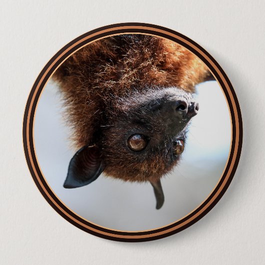Badge Rond 10 Cm Renard volant (Devant)