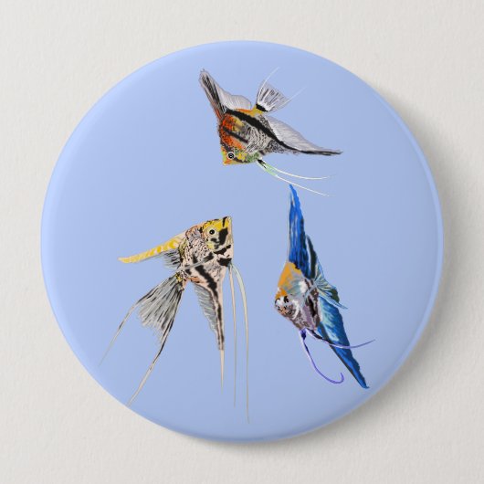 Badge Rond 10 Cm Scalar fish (Devant)