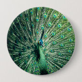 Badge Rond 10 Cm Strut Peacock (Devant)