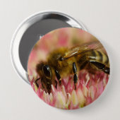 Badge Rond 10 Cm Western Honey Bee Macro (Devant & derrière)