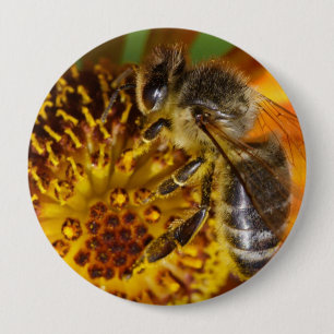 Badge Rond 10 Cm Western Honey Bee Macro photo