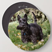 Badge Rond 15,2 Cm Ach (Devant & derrière)