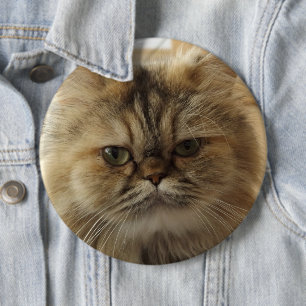 BADGE ROND 15,2 CM AJOUTEZ VOTRE PHOTO CAT PERSONNALISÉ GRAND BOUTON