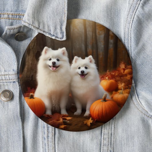 Badge Rond 15,2 Cm American Eskimo Chiot Automne Citrouille délice (En situation)