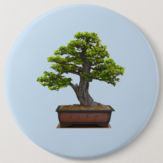 Badge Rond 15,2 Cm arbre de bonsaïs (Devant)