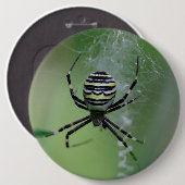 Badge Rond 15,2 Cm Argiope bruennichi (Devant & derrière)