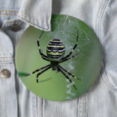 Badge Rond 15,2 Cm Argiope bruennichi (En situation)