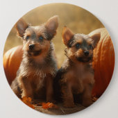 Badge Rond 15,2 Cm Australien Terrier Chiot Automne Citrouille de pla (Devant)