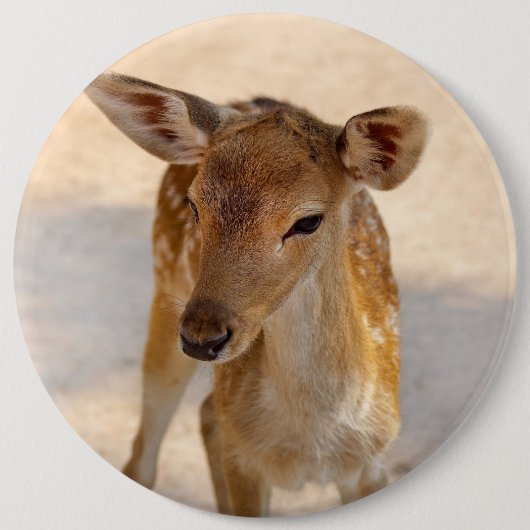 Badge Rond 15,2 Cm Baby Deer (Devant)
