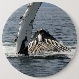 Badge Rond 15,2 Cm Baleine à bosse