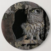 Badge Rond 15,2 Cm Barred Owl - Voici ce que vous regardez! (Devant)