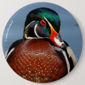 Badge Rond 15,2 Cm Beau canard en bois pensif dans le marais (Devant)