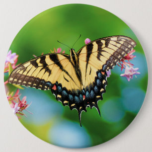 Badge Rond 15,2 Cm Beau papillon Swallowtail sur de jolies fleurs