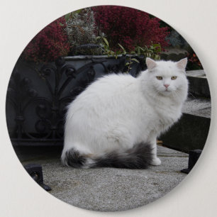 Badge Rond 15,2 Cm Beautiful White Cat On A Grave
