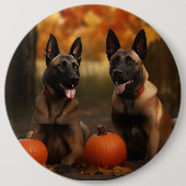 Badge Rond 15,2 Cm Belge Malinoi Puppy Automne Citrouille de plaisir (Devant)
