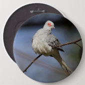 Badge Rond 15,2 Cm Belle douceur Diamond Dove (Devant & derrière)