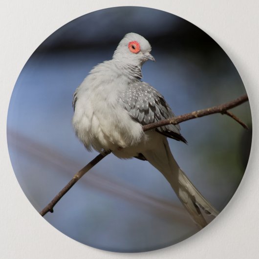 Badge Rond 15,2 Cm Belle douceur Diamond Dove (Devant)