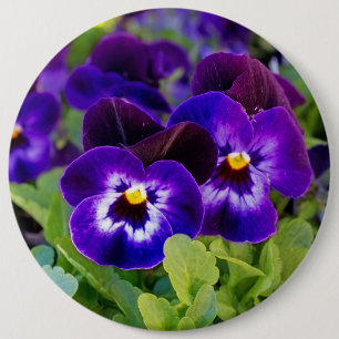 Badge Rond 15,2 Cm Belle et vive fleurs de pavot violet