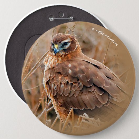 Badge Rond 15,2 Cm Belle harceleuse du Nord dans le marais (Devant & derrière)