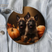 Badge Rond 15,2 Cm Berger belge Chiot Automne Citrouille de plaisir (En situation)