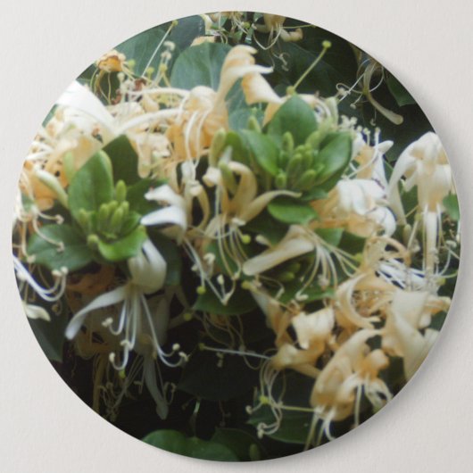 Badge Rond 15,2 Cm Blooms de Honeysuckle (Devant)