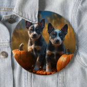 Badge Rond 15,2 Cm Blue Heeler Chiot Automne Citrouille de plaisir (En situation)