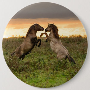 Badge Rond 15,2 Cm Bouton caracolant de chevaux sauvages