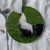 Badge Rond 15,2 Cm Brakel Hahn (En situation)