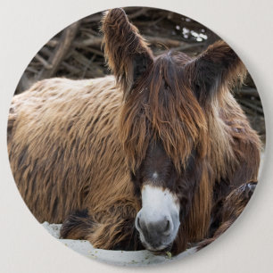 Badge Rond 15,2 Cm Brown Poitou Donkey