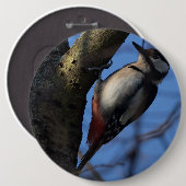Badge Rond 15,2 Cm Buntspecht (Devant & derrière)