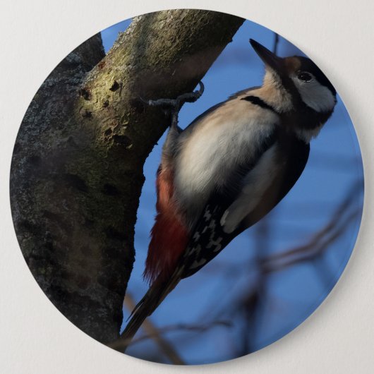 Badge Rond 15,2 Cm Buntspecht (Devant)