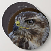 Badge Rond 15,2 Cm Buteo buteo (Devant & derrière)