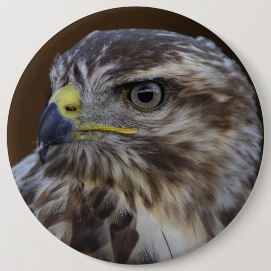 Badge Rond 15,2 Cm Buteo buteo (Devant)