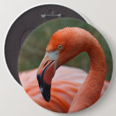 Badge Rond 15,2 Cm Caoutchouc de phoenicopterus (Devant & derrière)