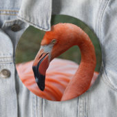 Badge Rond 15,2 Cm Caoutchouc de phoenicopterus (En situation)
