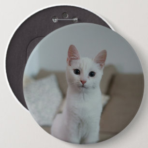 Badge Rond 15,2 Cm chat blanc Zazzle_Growshop.