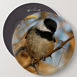 Badge Rond 15,2 Cm Chickadee Songbird, Joli Espérant