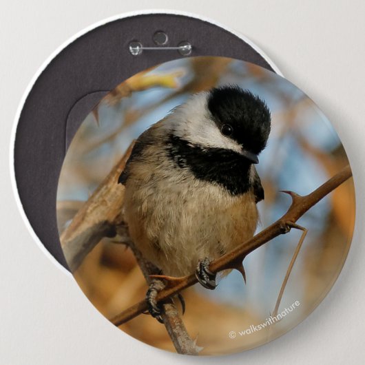 Badge Rond 15,2 Cm Chickadee Songbird, Joli Espérant (Devant & derrière)