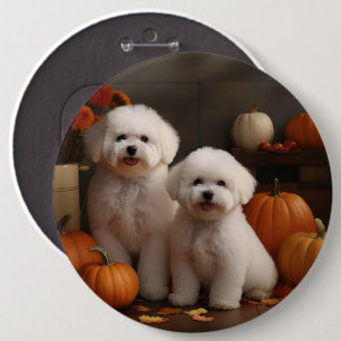 Badge Rond 15,2 Cm Chiot Bichon Frise Délice d'Automne Citrouille