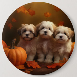Badge Rond 15,2 Cm Chiot Havanais Délice d'Automne Citrouille