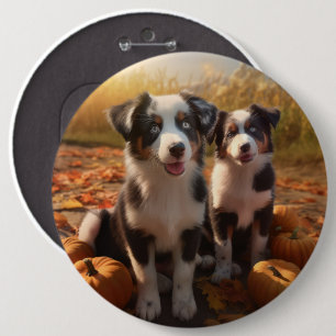 Badge Rond 15,2 Cm Chiots Berger Australien Automne Délice Citrouille