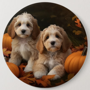 Badge Rond 15,2 Cm Chiots Cockapoo Délice d'Automne Citrouille
