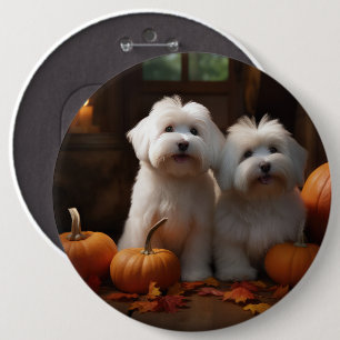Badge Rond 15,2 Cm Chiots Coton De Tulear Délice d'Automne Citrouille