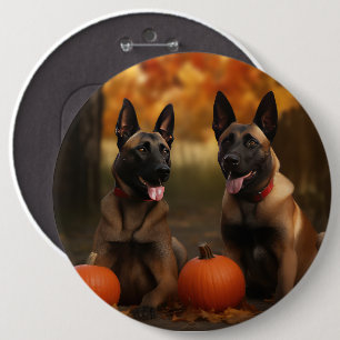 Badge Rond 15,2 Cm Chiots Malinois Belge Délice d'Automne Citrouille