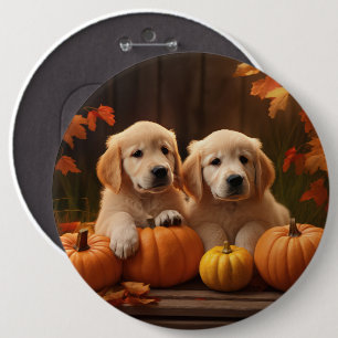 Badge Rond 15,2 Cm Chiots Retriever du Golden Automne Délice Citrouil