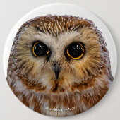 Badge Rond 15,2 Cm Chouette blanche à mâchoire noire (Devant)