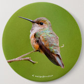Badge Rond 15,2 Cm Colibri roux assis en Californie Lilac (Devant)